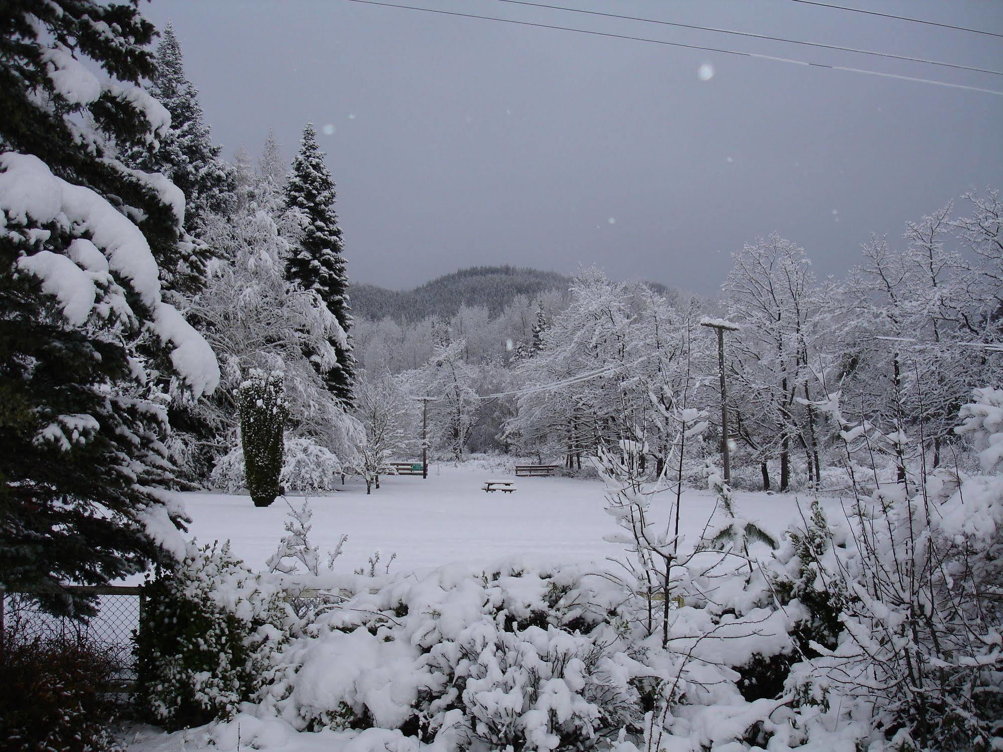 Alpine Holiday Apartments & Campground แฮนเมอร์สปริงส์ ภายนอก รูปภาพ
